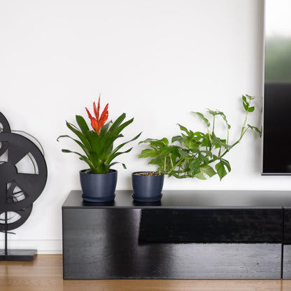 Kin 'n' Kind Set of 2 Minimalist Plant Pots (6.5" & 5.5") – Modern Indoor Planters with Drainage & Saucers & Plugs – Durable Eco-Conscious Composite, Indoor/Outdoor - Pacifica Wave Blue