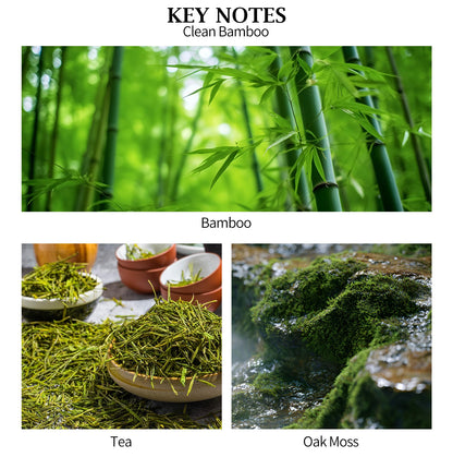 Aeeteek Reed Diffuser - Clean Bamboo Essential Oil Aroma for Home, Room Decor Aesthetic with Long-Lasting Fragrance, 4.06 fl oz (120 ml) Air Freshener for Office, Bathroom