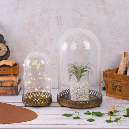 10" Tall Glass Dome with Metal Base in Antique Bronze for Terrarium, Plants, Trinkets, Cakes, Figurines, LED Light String, Candle. Cloche Glass Dome, Bell Jar Display Case, Mantle Place (1, 5.5"x10")