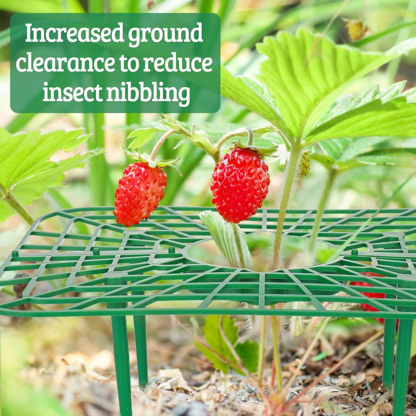 NODMIPNS 4 Sets Strawberry Plant Support with Mesh Cover - Square Gardening Frame, Animal Barrier, Iron Stakes & Storage Bag for Healthy Strawberries, Tomatoes, Veggies (Green) (4 pcs)