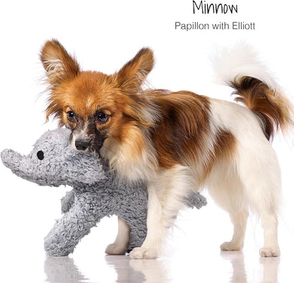 Plush Durable Cotton Dog Toys with Coconut Fill for All Pet Breeds, Elliot the Elephant, One Size