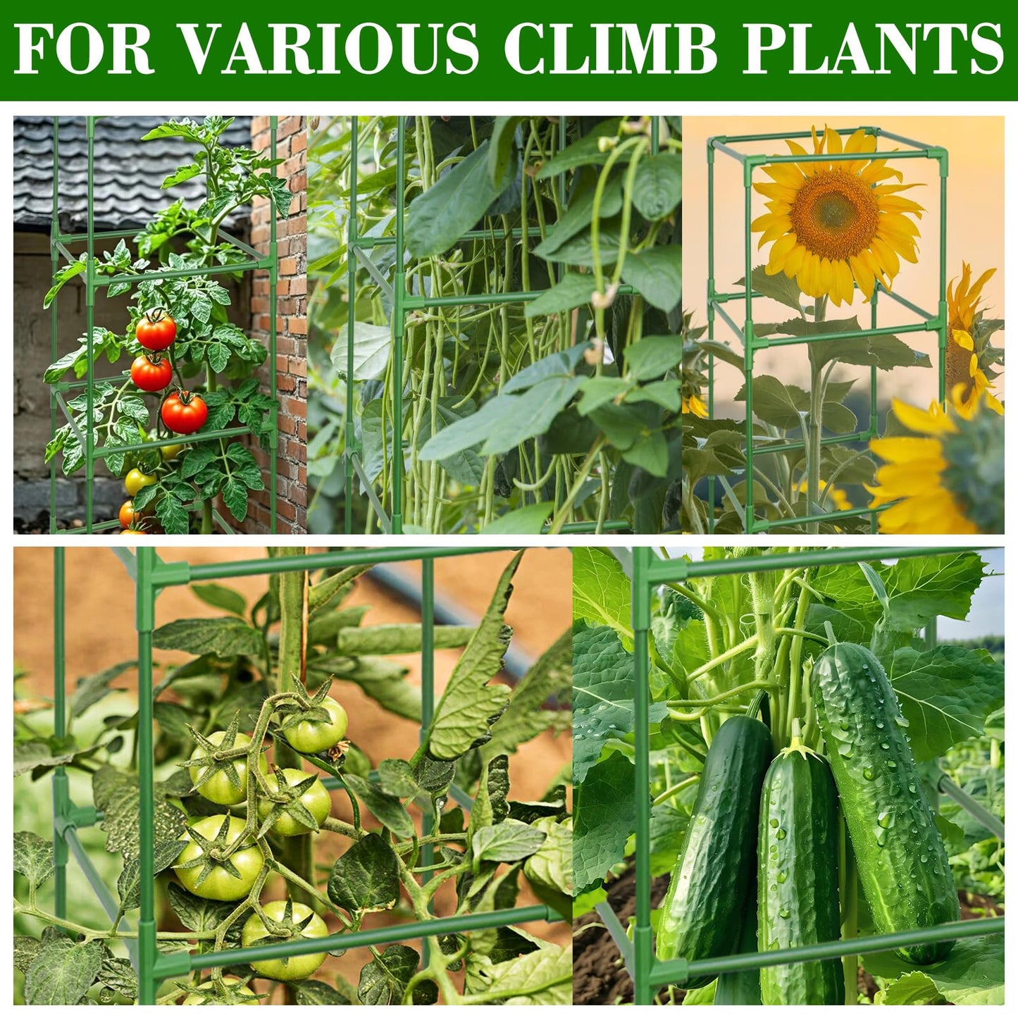 ZeeDix Tomato Cages with Bird Netting Set - 6 Pack 60 Inches Heavy Duty Tomato Cages + 6 Pack 57 Inches Garden Mesh Barrier for Tomatoes Climbing Vegetables Flowers