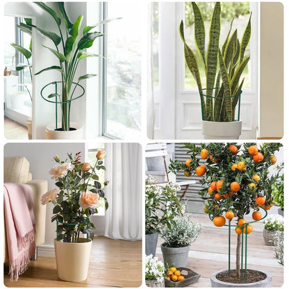 12 Pack Plant Support Stakes, 10" Wide x 24" High Half Round Metal Peony Cages and Support, Green Garden Plant Stake Plant Support Ring Border for Peony Tomato, Hydrangea, Flower Indoor Outdoor