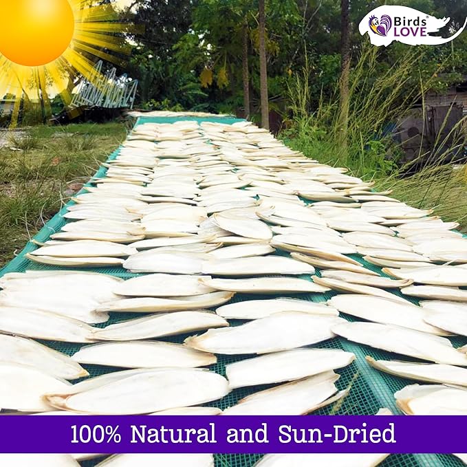 Birds LOVE 7.5-8" Cuttlebone for Birds – 100% Natural Sun-Dried Calcium Carbonate Mineral Supplement – for Parakeets, Budgies, Cockatiels, Finches & Canaries – 6 Pack with Holder – Made in Vietnam