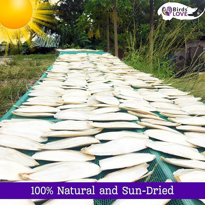 Birds LOVE 3.5-4″ Cuttlebone for Birds – 100% Natural Sun-Dried Calcium & Beak Conditioning Supplement for Parakeets, Budgies, Cockatiels, Finches & Canaries – 4 Pack with Holder – Made in Vietnam