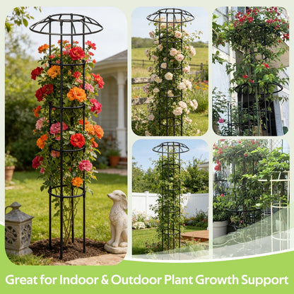 Jesosia Garden Trellis for Climbing Plants Outdoor - Unique Umbrella Top Round Trellis for Indoor Potted Plant - 64" Tall Rustproof PE Coated Metal Pipe Obelisk Support Ivy Vine Rose Grape Vegetable