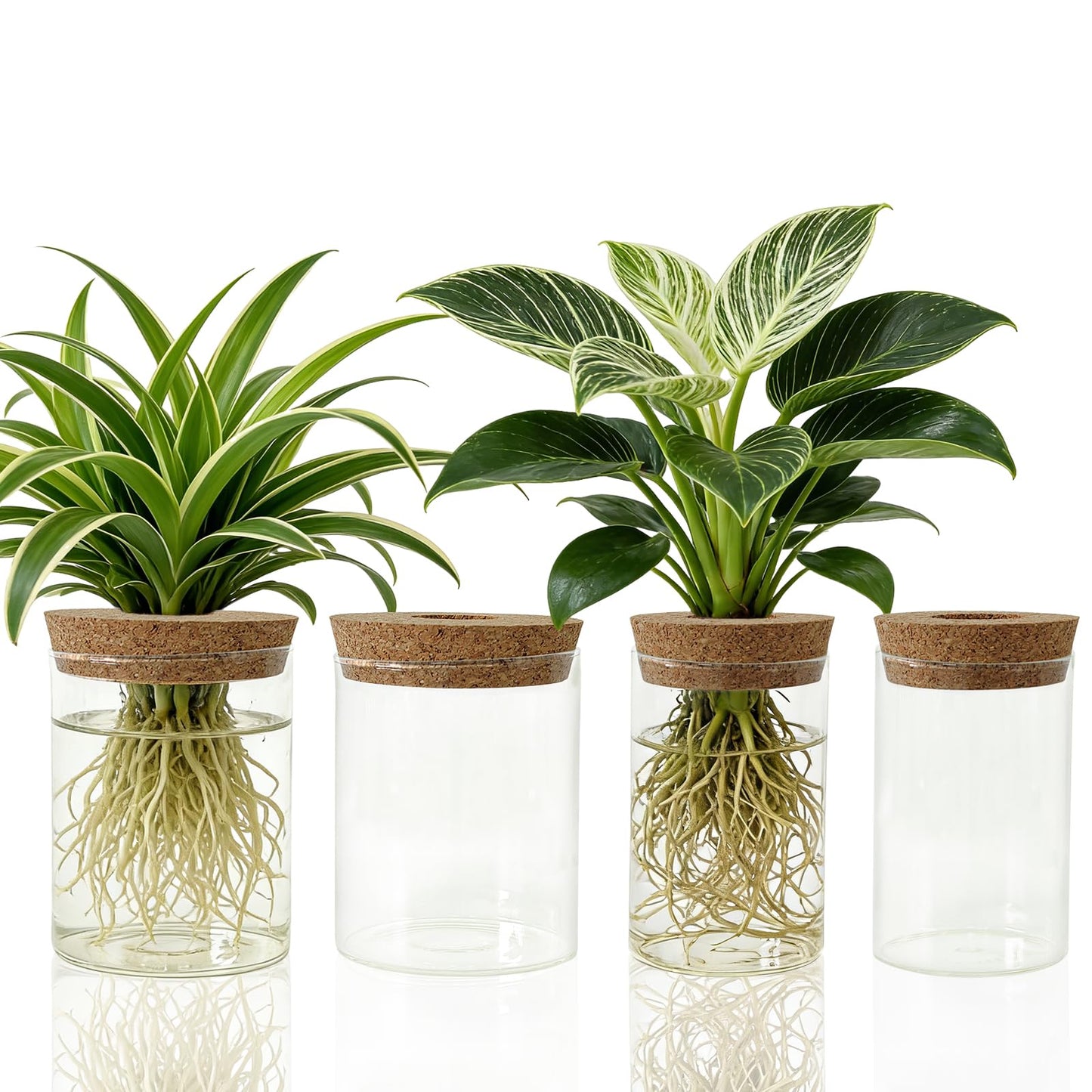 Glass Propagation Station for Plants Set of 4,Desktop Vases for Herb,Plant Cuttings,Planter Jars for Home,Propagation Flower Vases for Living Room,Bedroom,Home Office Decoration,Plant Lover Present