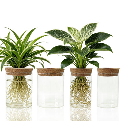 Glass Propagation Station for Plants Set of 4,Desktop Vases for Herb,Plant Cuttings,Planter Jars for Home,Propagation Flower Vases for Living Room,Bedroom,Home Office Decoration,Plant Lover Present