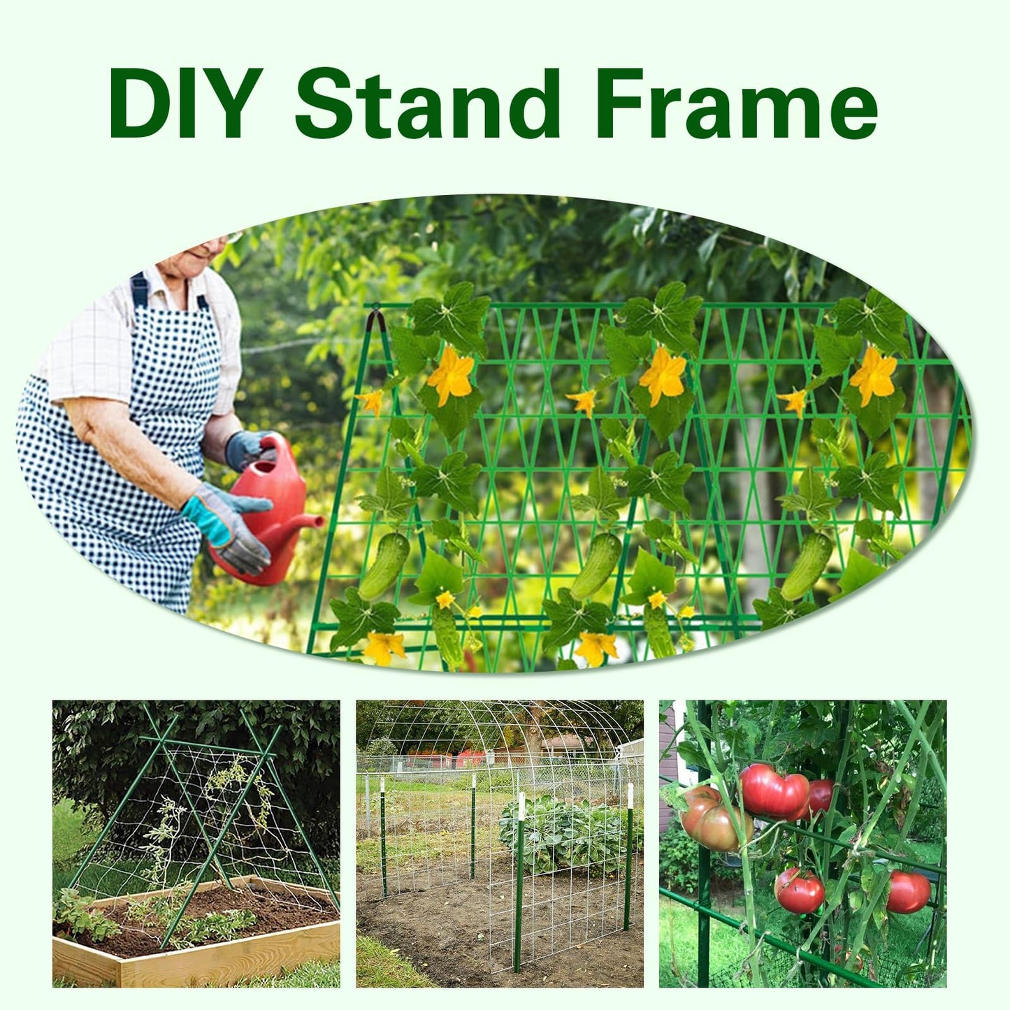 Sprigra Plant Stakes 24 inch, 2ft Steel Garden Stakes 30 Pack, Sturdy Plant Support for Climbing Plants, Tomatoes, Beans, Cucumbers, Peppers, Flowers, Potted, Strengthen and Stem to Grow Better