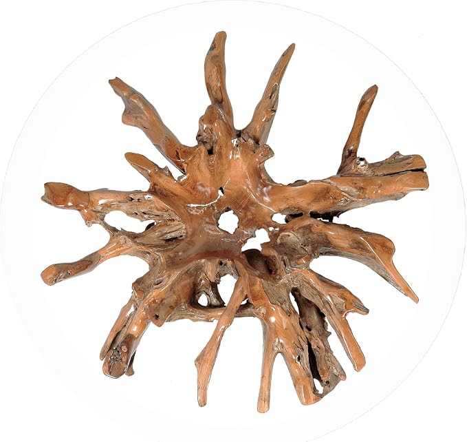 CHIC TEAK Genuine Teak Wood Root Coffee Table Including 55 Inch Round Glass Top Made