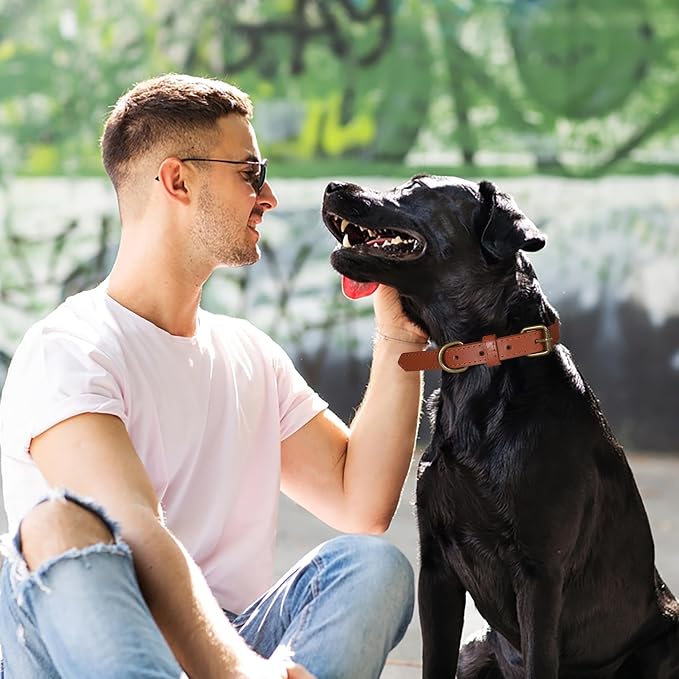 Lightnpro Tan Leather Dog Collar & Leash Set - 18" Adjustable Leather Nylon Collar with Metal Buckle & 50" Durable Lead - Comfortable, Stylish Combo for German Shepherds,Bernards & Other Large Breeds