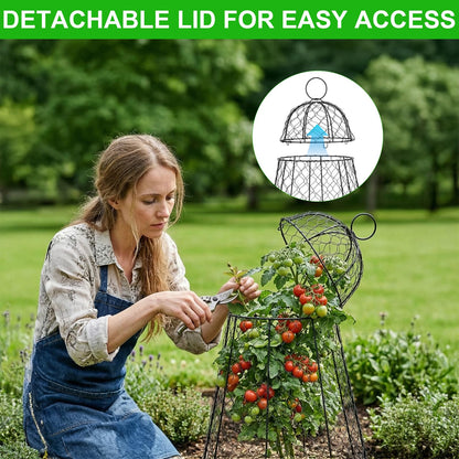 Garden Cloches for Plants 6 Pack - Chicken Wire Outdoor Plant Protectors from Animals - Heavy-Duty Metal Cage with Detachable Lid - Rustproof Covers - 12"D × 17"H - Blocks Rabbits, Squirrels & Birds
