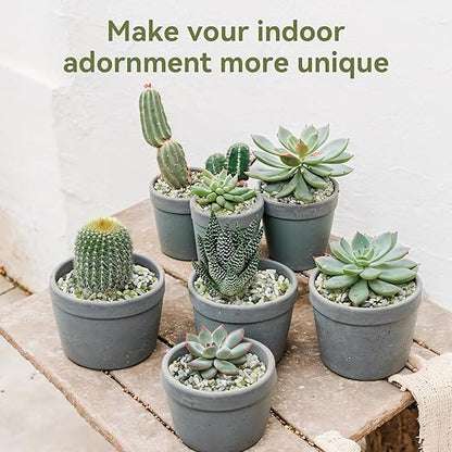 Pulovin 5LB Succulent and Cactus Pebbles, 1/5 Inch Jade Pebbles for Indoor Plants, Decorative Gravel for Vases, Bamboo, Succulent, Terrarium, Crafts, Cactus
