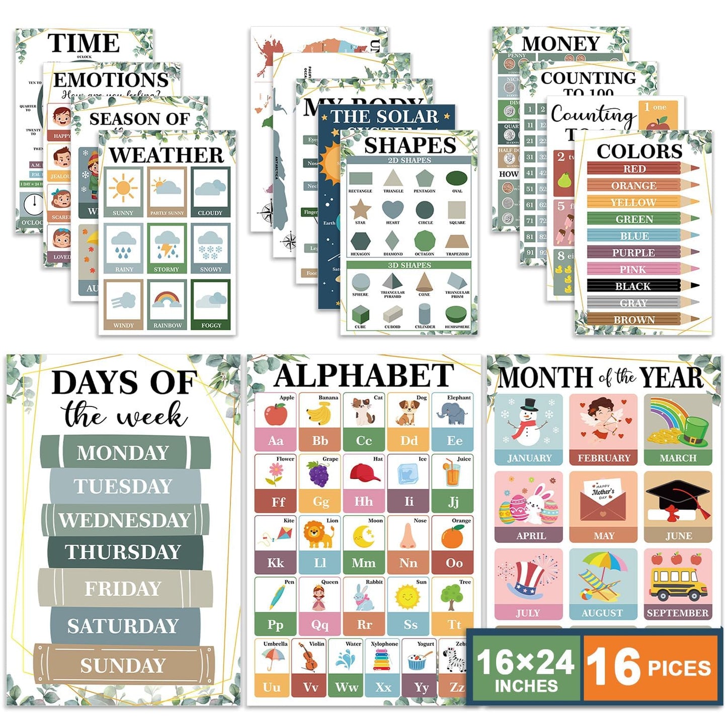 16 Pcs 16”x24” Large Educational Posters for Classroom Decor Educational Posters for Toddlers 1-3 Learning Poster for Boys Girls Ages 3-5 Kindergarten Preschool Classroom Teacher Must Haves Eucalyptus