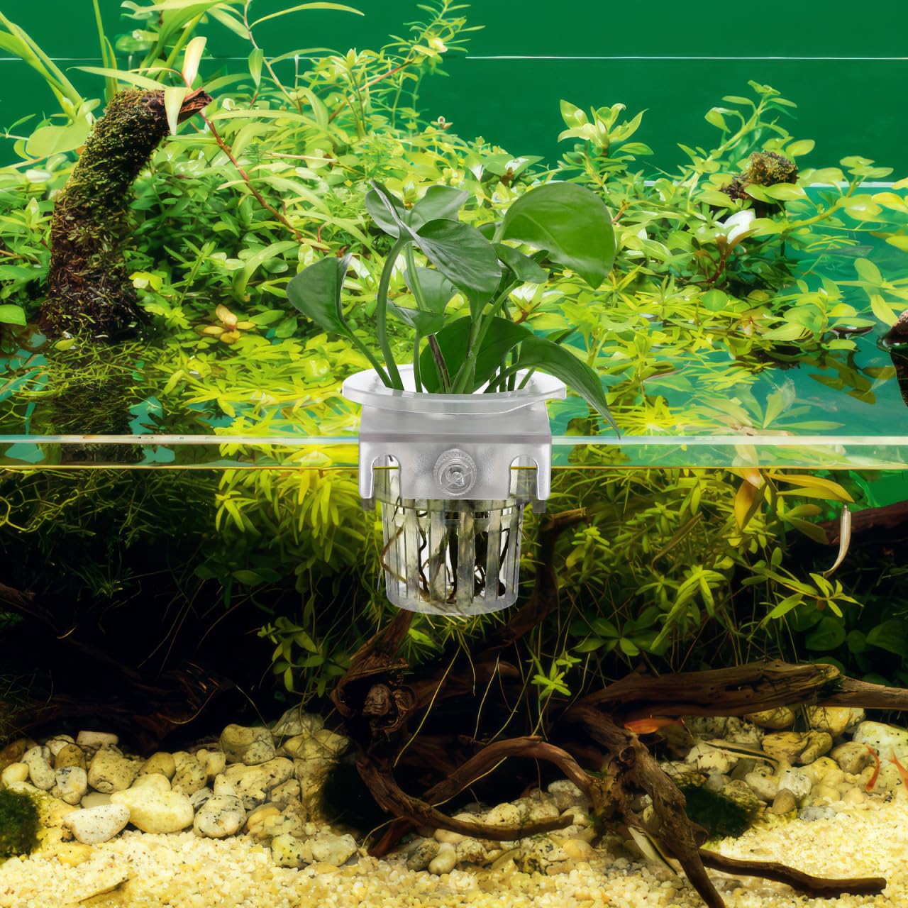TOYANDONA 4pcs Aquarium Hanging Plant Holder Aquatic Planter Cups for Fish Tank Decoration Water Design for Aquatic Plant Cultivation