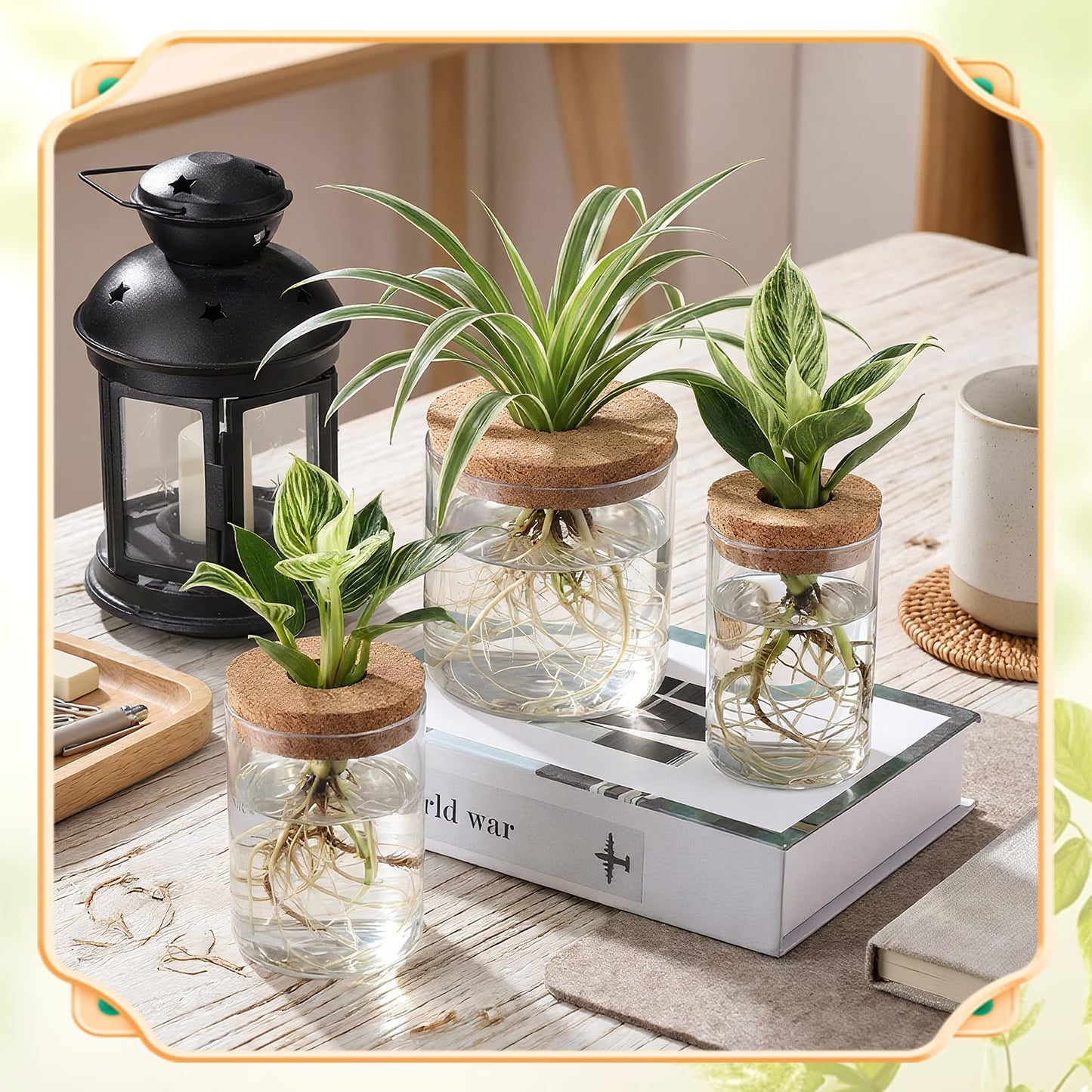 Acellegic 12 Pack Plant Propagation Station with Hole Lid Plant Propagation Jars Plants Plastic Propagations Stations Planter Vase Hydroponic Vases for Home Desktop Office Decoration, 3 Sizes