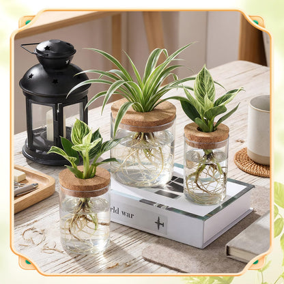 Acellegic 12 Pack Plant Propagation Station with Hole Lid Plant Propagation Jars Plants Plastic Propagations Stations Planter Vase Hydroponic Vases for Home Desktop Office Decoration, 3 Sizes