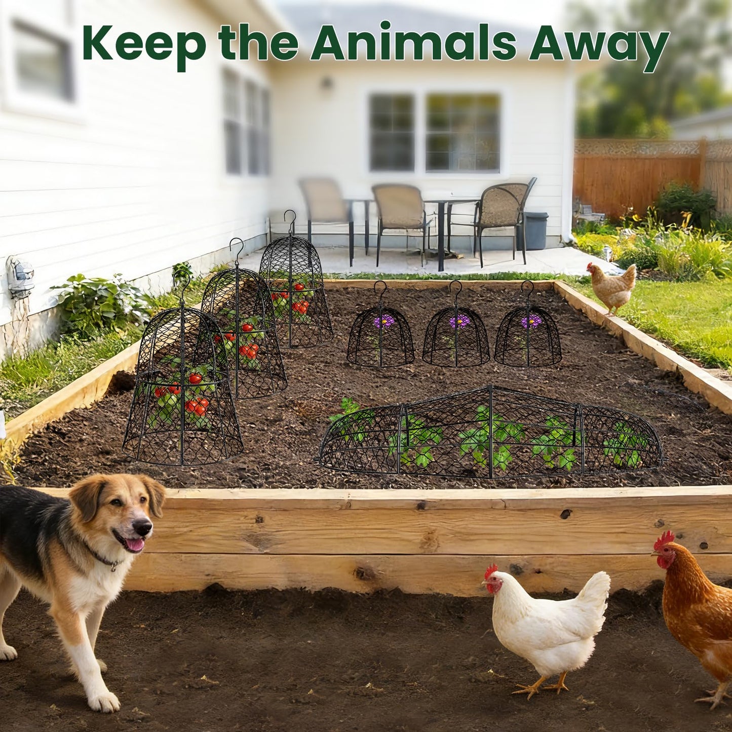 2PCs Plant Protectors from Animals, Metal Garden Cloches for Outdoor Plants, 4-in-1 Modular Design, Anti-Rust Coated Chicken Wire Cages to Keep Squirrel, Rabbit, Bird Out, 13'' x 11.8''