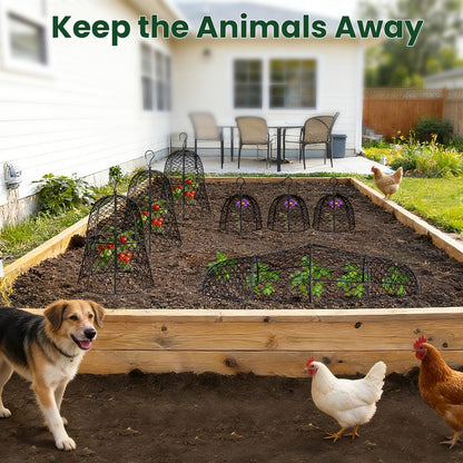 2PCs Plant Protectors from Animals, Metal Garden Cloches for Outdoor Plants, 4-in-1 Modular Design, Anti-Rust Coated Chicken Wire Cages to Keep Squirrel, Rabbit, Bird Out, 13'' x 11.8''