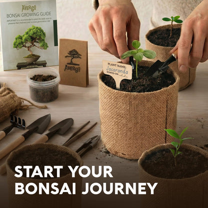 AVERGO Bonsai Tree Kit Classic - 5X Unique Japanese Bonzai Trees | Complete Indoor Bonsai Starter Kits for Growing Trees – DIY Gardening Gifts for Mother, Women & Men