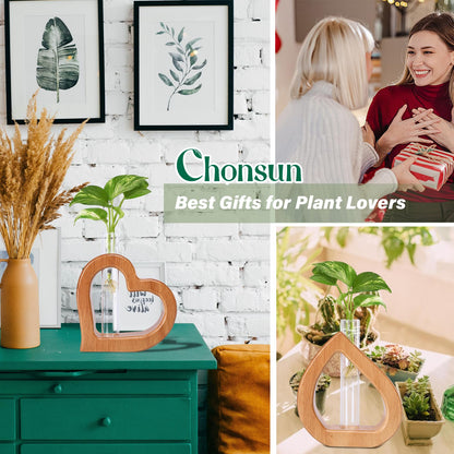 Chonsun Plant Propagation Stations 2 PCS Wall Hanging Planters for Indoor Plants Glass Tubes Home Decorations Gifts Terrarium Plants Live