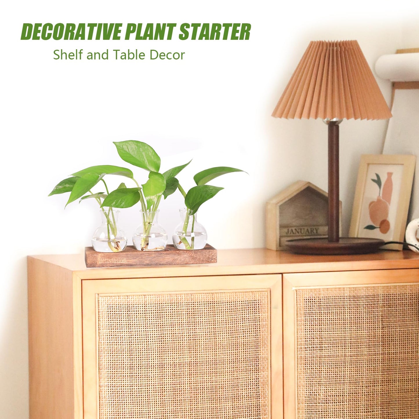 Bettstation Plant Propagation Station, Plants Terrarium with Wooden Stand Bulb Glass Vase Planter Gift for Plant Lovers Home Office Decor
