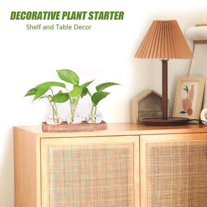 Bettstation Plant Propagation Station, Plants Terrarium with Wooden Stand Bulb Glass Vase Planter Gift for Plant Lovers Home Office Decor