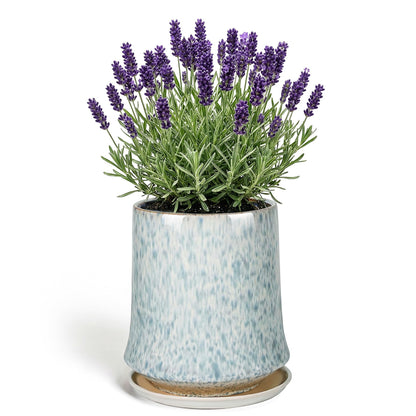 TOSELBAI 8 Inch Ceramic Planter Pot with Saucer Drainage Leak-Proof Mesh,Flower Pots for Lavender with Gardening Gloves,Ceramic Planter for Orchid(Light Blue)