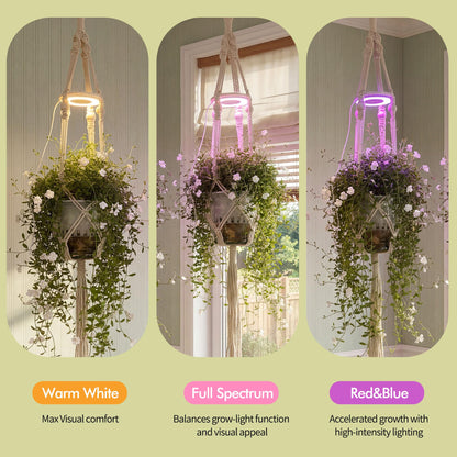 Lazukes Hanging Plant Grow Lights for Indoor Plants with Timer, Wall Mounted Full Spectrum Pendant Growing Light with Macrame Plant Hanger, Ceiling LED Planta Luz for Potted Plants Home Decor
