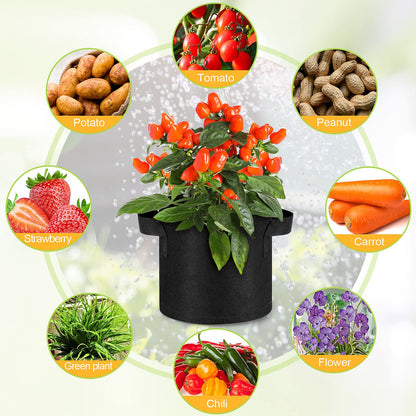 Nuanchu 36 Packs Grow Bags Bulk Aeration Fabric Pot with Handles Thickened Nonwoven Garden Bags to Healthy Root Growth Vegetables Heavy Duty Grow Pots Planting Planter for Flower Fruits (2 Gallon)