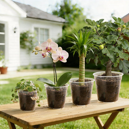 Simihiran 9 Pcs 8/10/12 Inch Large Clear Nursery Pots with Drainage Holes - Variety Pack Transparent Plant Pots for Orchids Succulents Indoor Outdoor Root Health