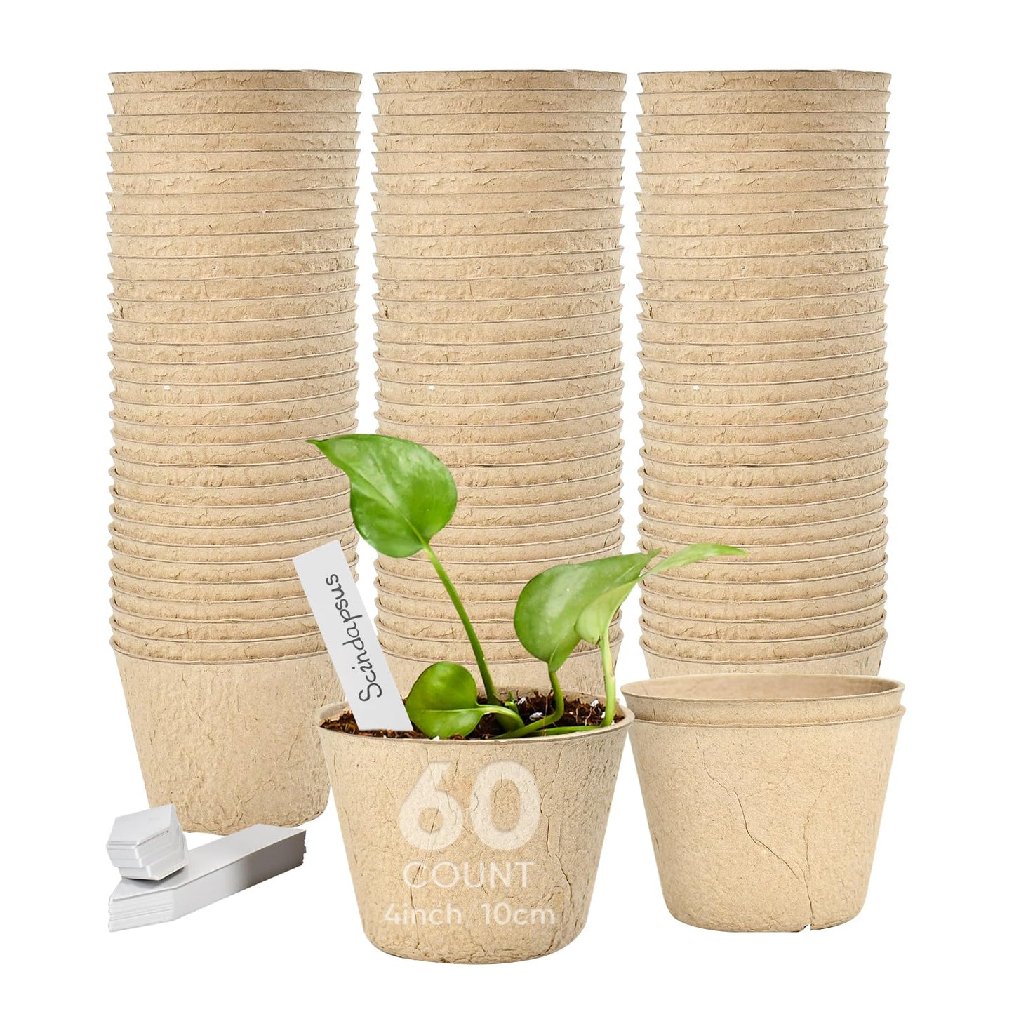 Chunsvia 60 Pack 4” Peat Pots for Seeding with 60Pcs Plant Labels, Biodegradable Seed Starter Pots with Drainage Holes, Garden Germination Nursery Pots