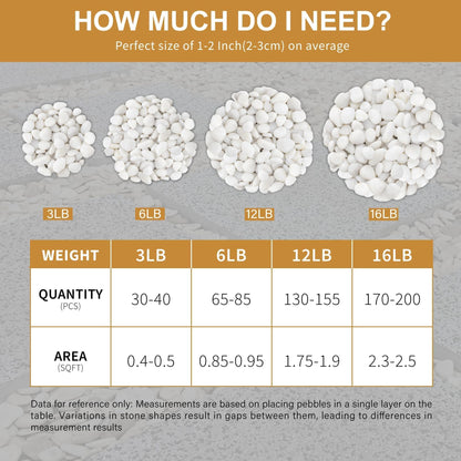 NUPICK 16lb White River Rocks for Outdoor Landscaping, 1-2 Inch Pebbles for Indoor Plants, Natural Polished Aquarium Gravel, Decorative Rocks for Succulent, Garden, Vases Fillers, Bird Baths