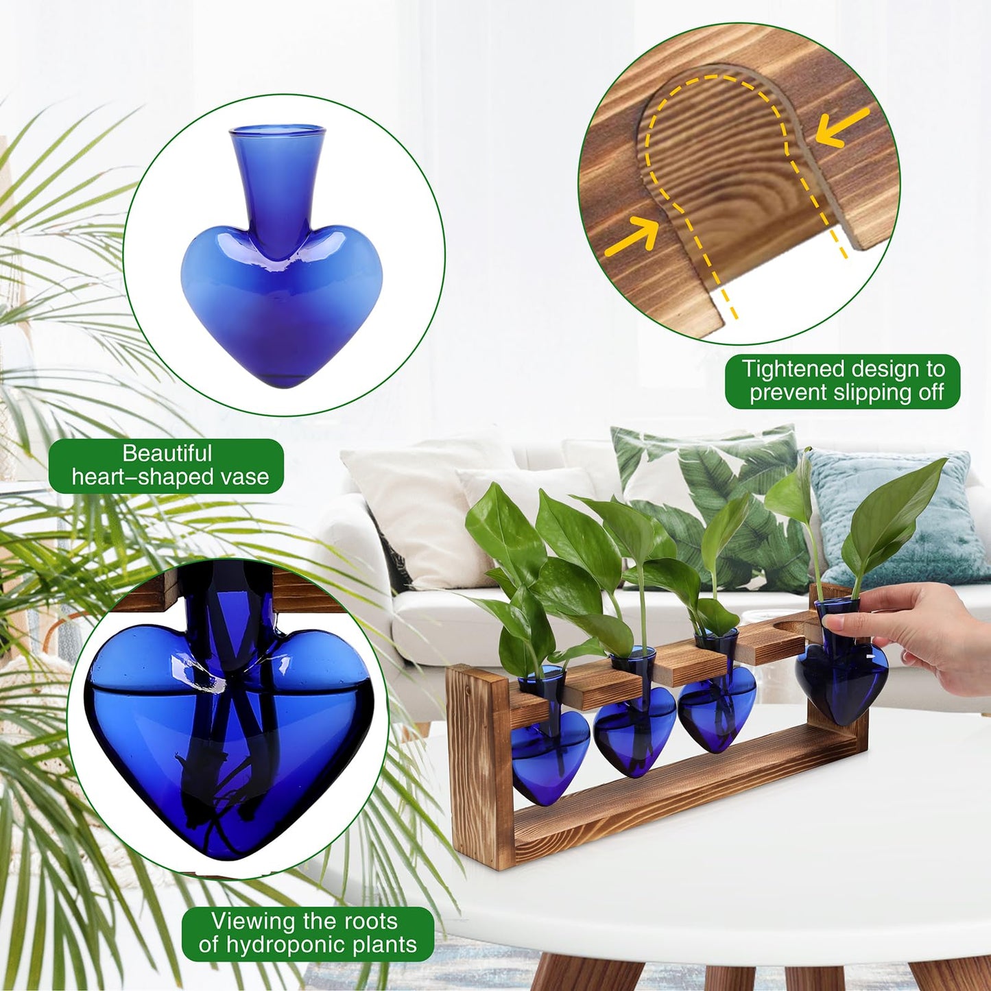 CYZglass Heart Plant Terrarium Kit Gift for Women Plant Lover Glass Vases