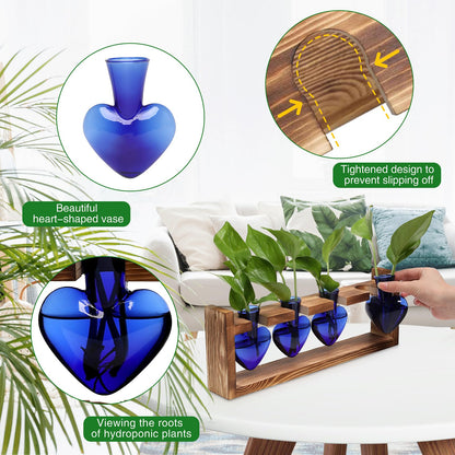CYZglass Heart Plant Terrarium Kit Gift for Women Plant Lover Glass Vases