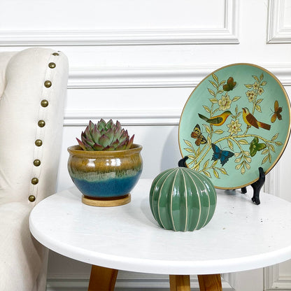 Summer Impressions 5.5 Inch Succulent Pot with Drainage and Saucer Glazed Terracotta Round Ceramic Succulent Planter Cactus Bonsai Plant Pot (Set of 4)