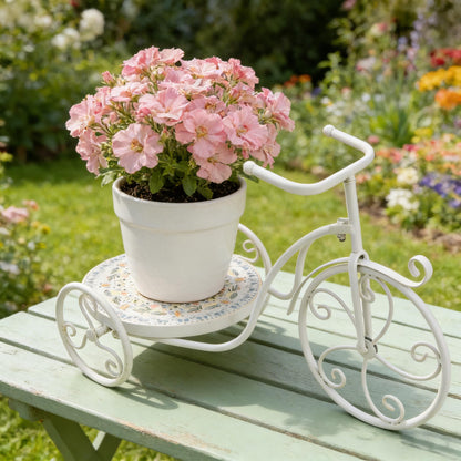 Zorvynelle Metal Bicycle Plant Stand Display Tricycle Plant Rack Flower Holder with Round Ceramic Tile Nesting Tray for Indoor Outdoor Home Garden Patio Wedding Garden Decor