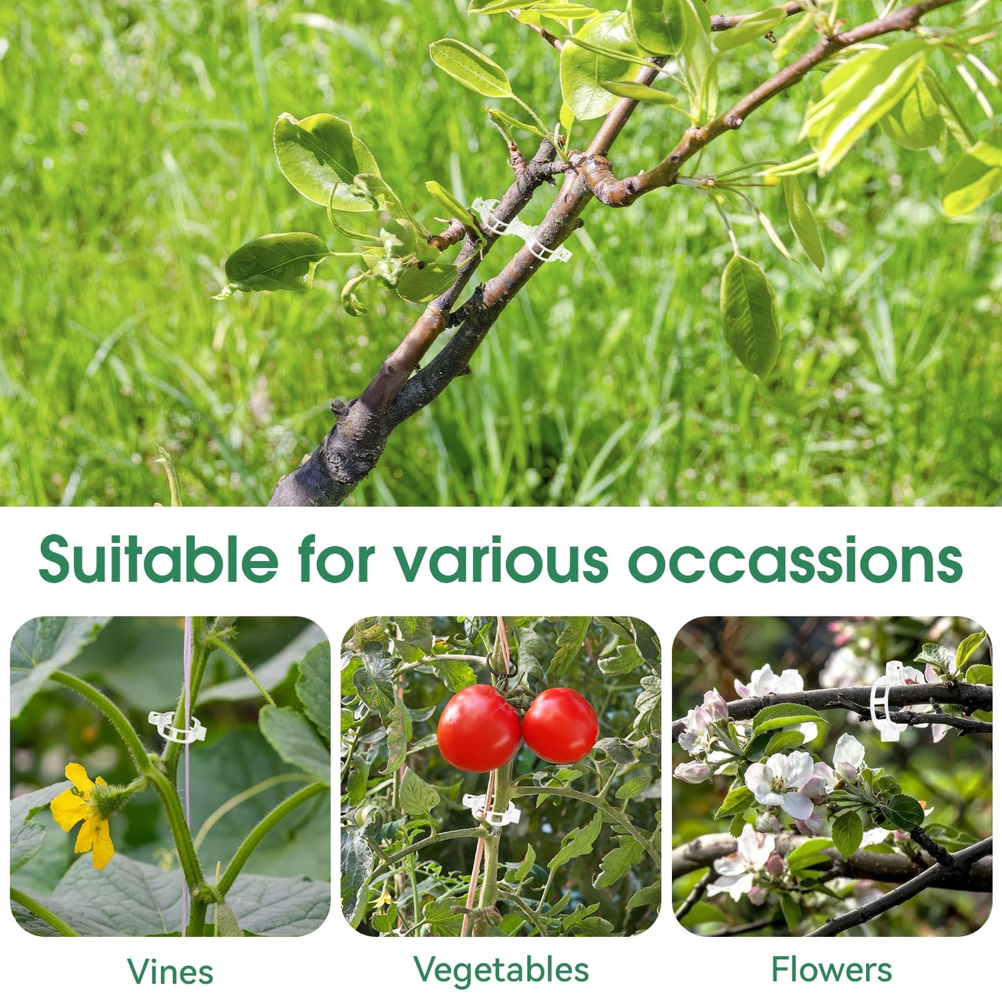 300 Pcs Plant Clips for Climbing Plants, Tomato Clips for Support, Plastic Garden Clips for Plants Grape Vine Vegetables Make Plant Grow Upright