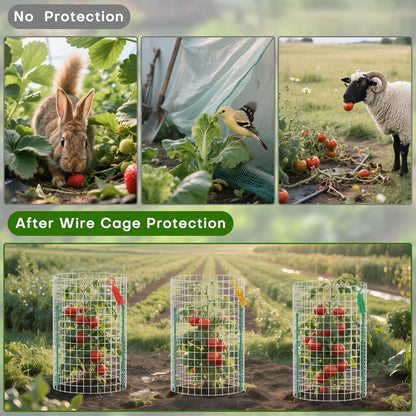 10-Set 12” x 24” Plant Protector from Animals, Hot-Dip Galvanized Metal Mesh Plant Cages, Dual-Secure with U-Stakes & Supports, Animal Barrier to Keep Rabbits & Chickens Out of the Graden