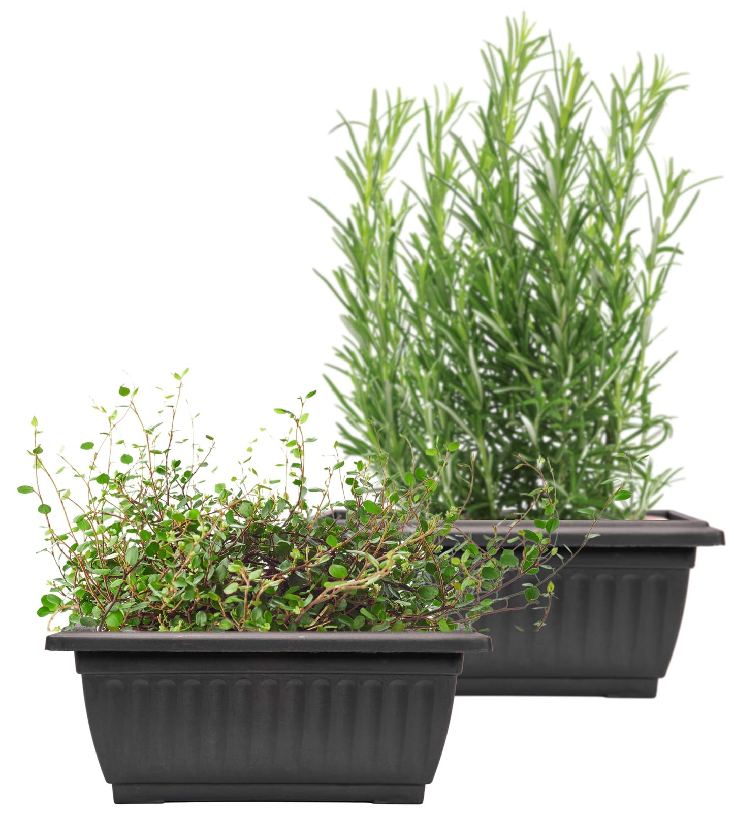 Sapphire USA 2 Pack Combo Rectangle Planter with Hole for Better Drainage for use in Garden Patio Office Ornaments Home Decor (14 Inches, Black)