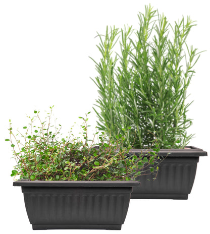 Sapphire USA 2 Pack Combo Rectangle Planter with Hole for Better Drainage for use in Garden Patio Office Ornaments Home Decor (14 Inches, Black)