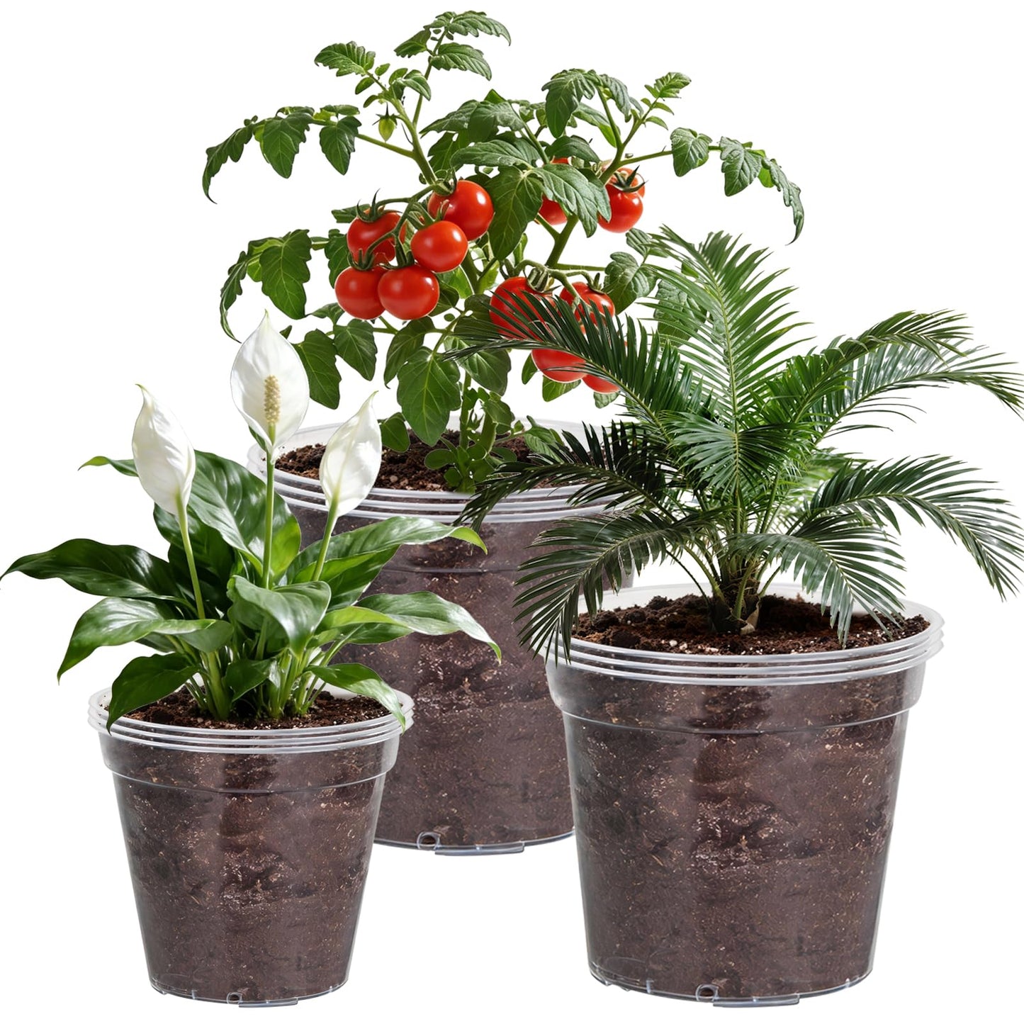 Simihiran 9 Pcs 8/10/12 Inch Large Clear Nursery Pots with Drainage Holes - Variety Pack Transparent Plant Pots for Orchids Succulents Indoor Outdoor Root Health