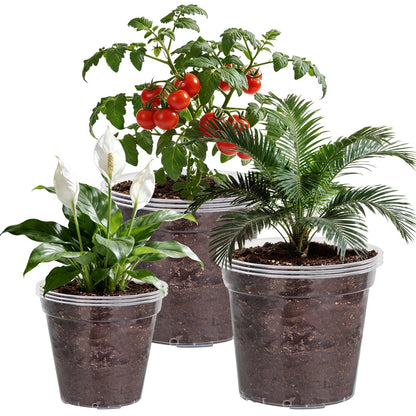 Simihiran 9 Pcs 8/10/12 Inch Large Clear Nursery Pots with Drainage Holes - Variety Pack Transparent Plant Pots for Orchids Succulents Indoor Outdoor Root Health
