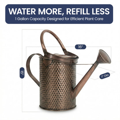 Gardenised 1 Gallon Galvanized Metal Watering Can with Removable Long Spout & Sprinkler Head for Indoor & Outdoor Use Ideal for Garden Flowers Potted Plants Houseplants Modern Home Accessories, Brown