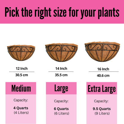 LaLaGreen 16 Inch Wall Hanging Planters - 2 Pack, Large Wall Mounted Flower Basket with Coco Liner, Black Metal Horse Trough Window Herb Pot Holder Outdoor Plants Fence Rail Railing Deck Porch Balcony
