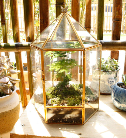 ELEGANTLIFE Glass Geometric Plant Terrarium,Succulent & Air Planter for Home Garden Office Decoration,No Plants(Gold Hexagonal)