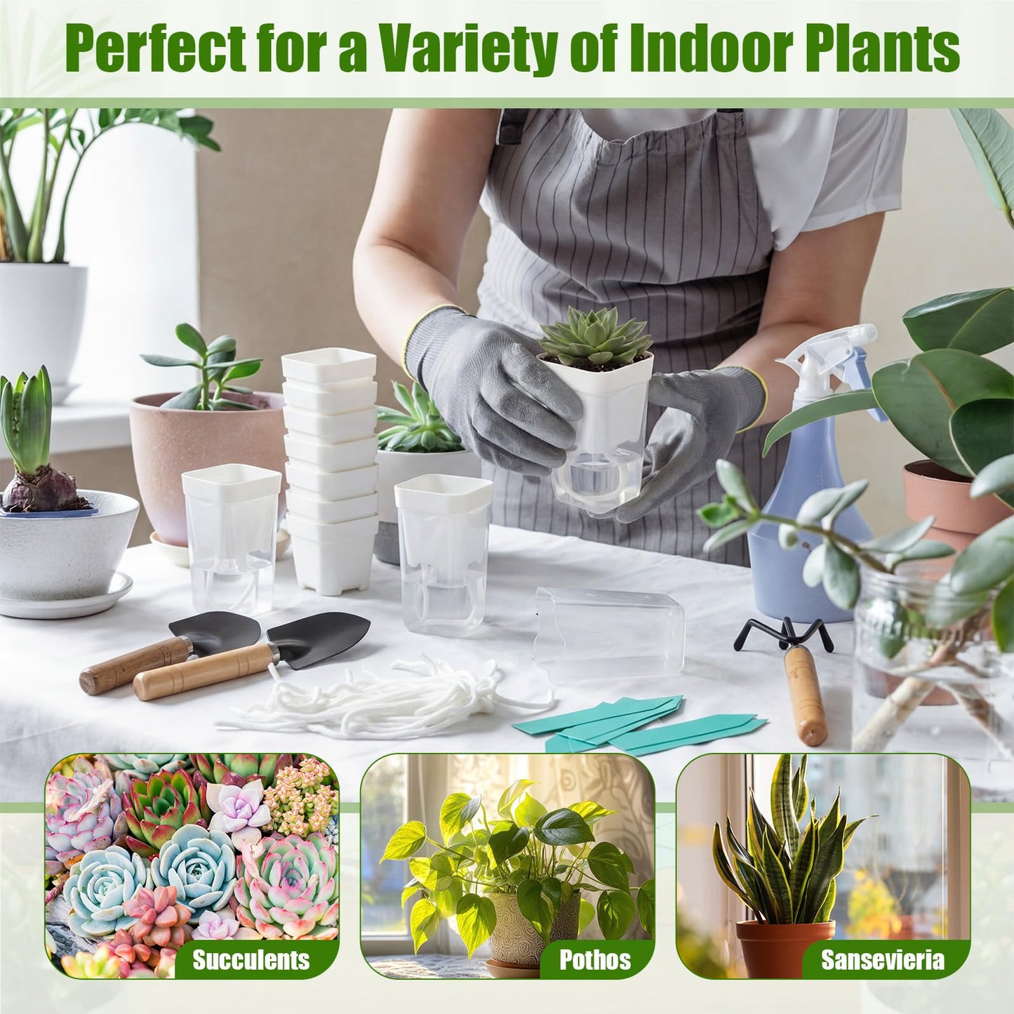 RimCereal 30 Pack 2" Small Self Watering Pots for Indoor Plants Clear Mini Self Watering Plant Pot with Water Level, Drainage Holes 30 Plastic Label 3 Planting Tools, Rope for Propagation Succulents
