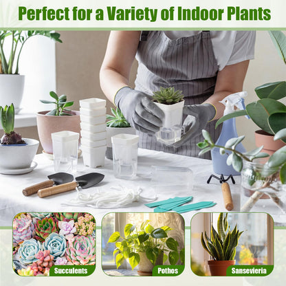 RimCereal 30 Pack 2" Small Self Watering Pots for Indoor Plants Clear Mini Self Watering Plant Pot with Water Level, Drainage Holes 30 Plastic Label 3 Planting Tools, Rope for Propagation Succulents