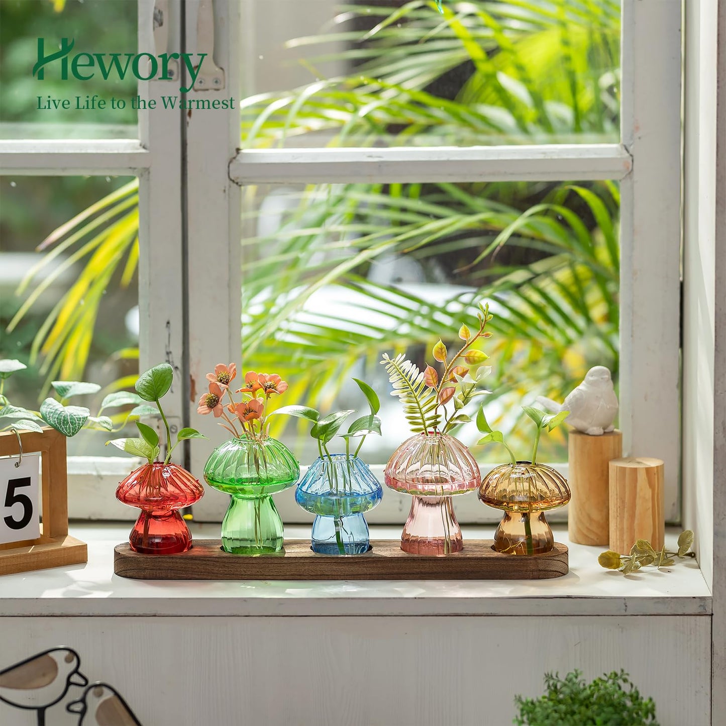 Glass Propagation Station for Plant: Mushroom Planter with Wooden Stand for Home Office Decor - Unique Propagation Jars for Plant Lovers - Set of 5 Hydroponic Mushroom Vases Gift for Mom