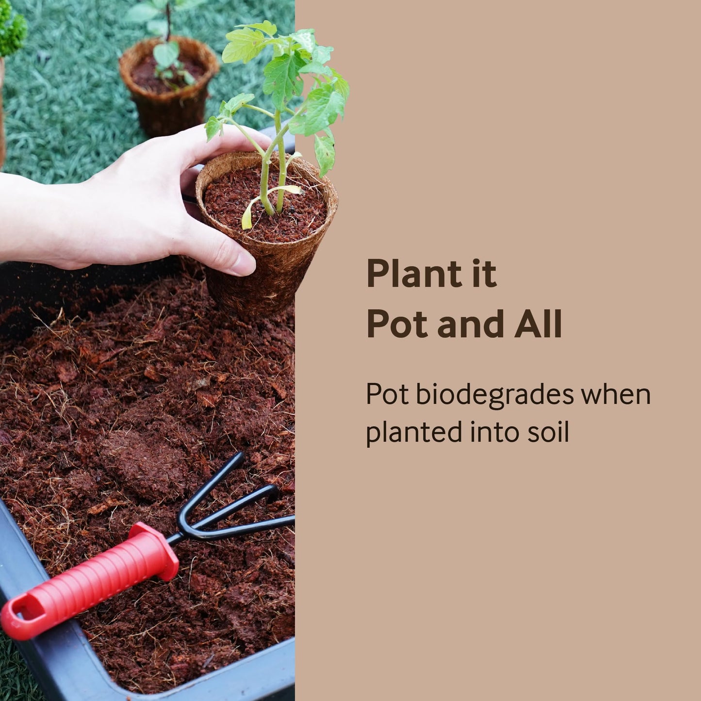 PlantBest 3.25 Inch Coconut Coir Biodegradable Pots – 22 Pack, Plantable Seed Starter Pots, Peat-Free, Sustainable Growing Containers